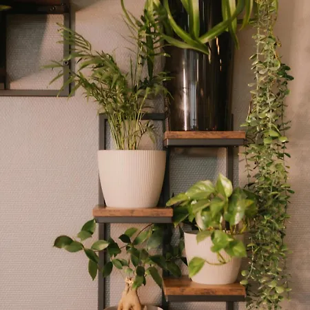 Quality Silesian 3* Katowice