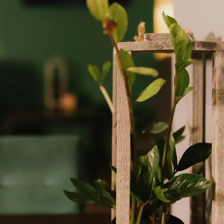 Quality Silesian Szálloda Katowice