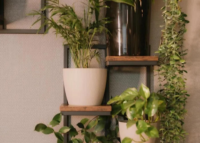 Great Polonia Silesian Quality Hotel 3* Katoviçe