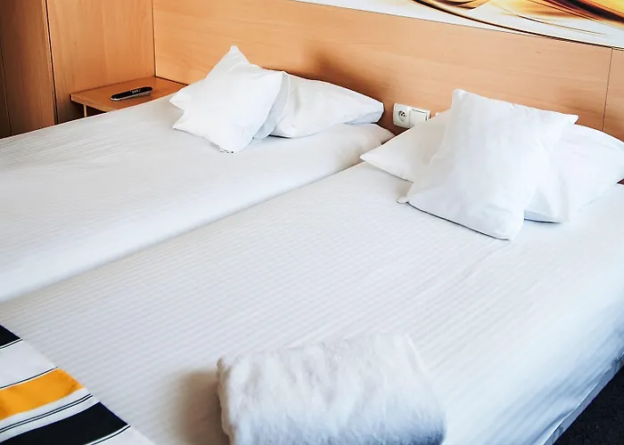 Great Polonia Silesian Quality Hotel Otel 3*